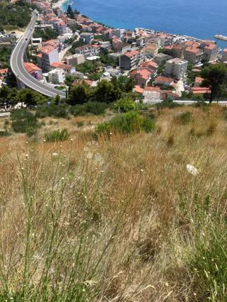 Kmetijsko zemljišče s pogledom na morje