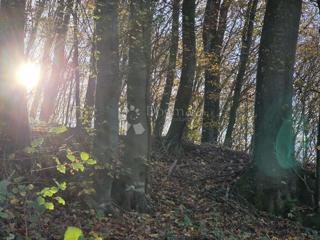 Zemljišče Selno, Krapinske Toplice, 3.938m2