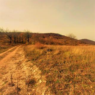 Kmetijsko zemljišče Kestenovac, Donji Lapac, 25.160m2