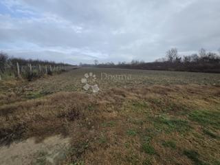 Kmetijsko zemljišče Oborovo, Rugvica, 5.206m2