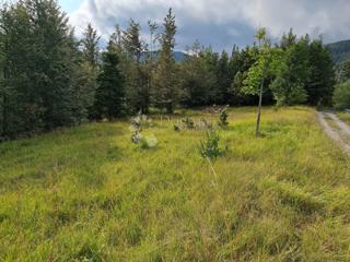 Zazidljivo zemljišče Stari Laz, Ravna Gora, 5.470m2