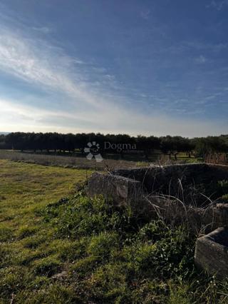 Zazidljivo zemljišče Zemunik Gornji, Zemunik Donji, 1.400m2