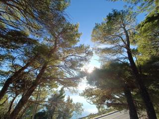 Zazidljivo zemljišče Lokva Rogoznica, Omiš, 752m2