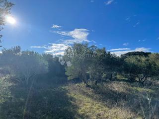 Zazidljivo zemljišče Kraj, Pašman, 1.900m2