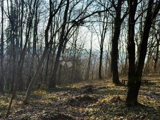 Kmetijsko zemljišče Varaždin Breg, Gornji Kneginec, 3.239m2