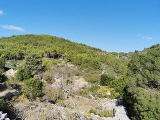 Kmetijsko zemljišče Potirna, Blato, 8.000m2