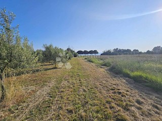 Zemljišče Umag, 8.400m2