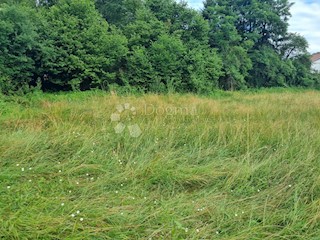 Zemljišče Brnelići, Jelenje, 1.289m2