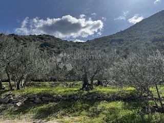 Zemljišče Trpanj, 2.647m2