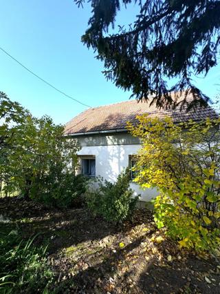 Hiša Gornji Daruvar, Daruvar, 160m2