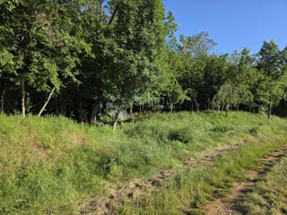 Kmetijsko zemljišče Kaštelir, Kaštelir-Labinci, 32.620m2