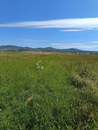Kmetijsko zemljišče Biograd na Moru, 1.730m2