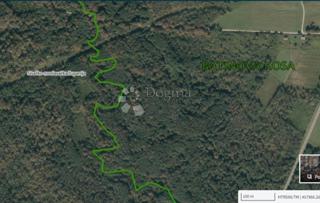 Kmetijsko zemljišče Batinova Kosa, Topusko, 9.532m2