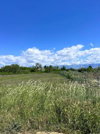 Kmetijsko zemljišče Privlaka, 12.809m2