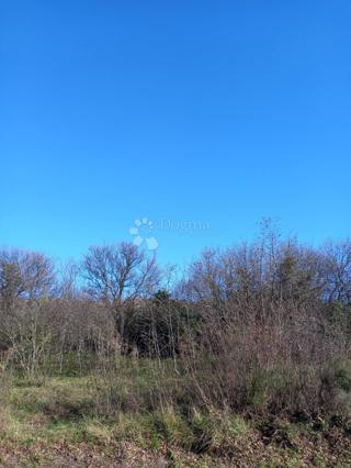 Kmetijsko zemljišče Kostrena, 1.747m2