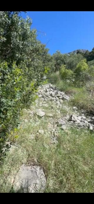 Kmetijsko zemljišče Brist, Gradac, 1.273m2