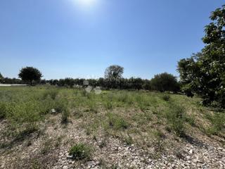 Zazidljivo zemljišče Poreč, Poreč, Poreč, Istarska županija, 817m2