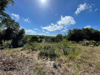 Zazidljivo zemljišče Buje, 535m2