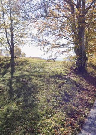 Zazidljivo zemljišče Stari Laz, Ravna Gora, 695m2