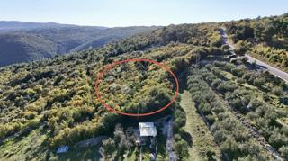 Kmetijsko zemljišče Rabac, Labin, 2.610m2