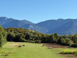 ŽITNIK ZAZIDLJIVO ZEMLJIŠČE 13000 m2