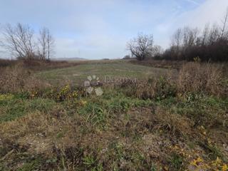 Kmetijsko zemljišče Oborovo, Rugvica, 5.206m2