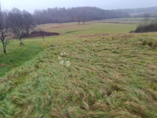 Zazidljivo zemljišče Bratina, Pisarovina, 7.079m2