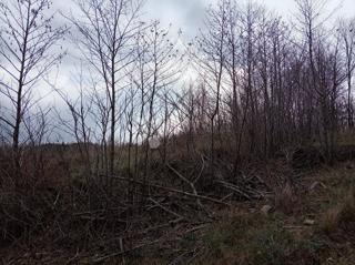 Zazidljivo zemljišče Klana, 1.027m2