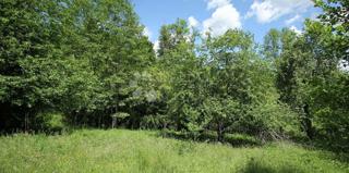 Kmetijsko zemljišče Lič, Fužine, 2.935m2