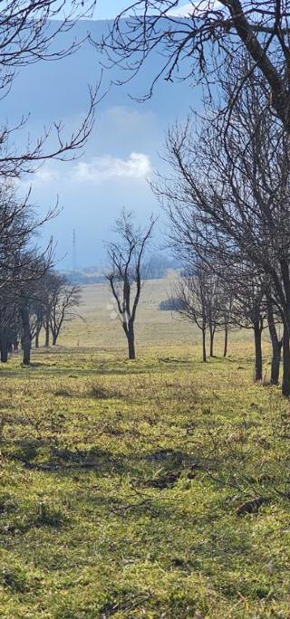 Hiša Donji Lapac, 50m2