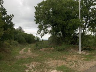 Zemljišče Filipana, Marčana, 1.427m2