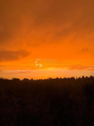 Kmetijsko zemljišče Umag, 570m2