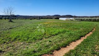 Kmetijsko zemljišče Kadumi, Poreč, 7.670m2