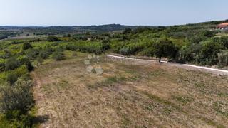 Zazidljivo zemljišče Buje, 1,03m2