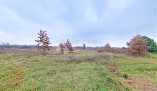 Zemljišče Umag, 3.000m2