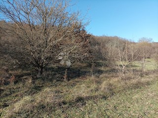 Zemljišče Kanfanar, 3.610m2