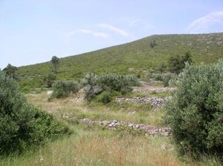 Zemljišče Brna, Smokvica, 39.541m2