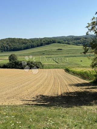 Zemljišče Pupelica, Šandrovac, 52.628m2