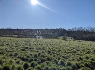 ODLIČNO ZEMLJIŠČE V MESTNEM CENTRU, 1652 m2