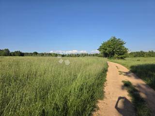 Kmetijsko zemljišče Kaštelir, Kaštelir-Labinci, 32.620m2