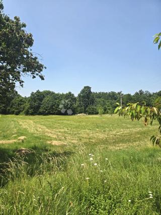 Zazidljivo zemljišče Barban, 797m2