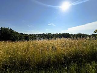 Kmetijsko zemljišče Lopatinec, Sveti Juraj Na Bregu, 1.780m2