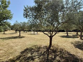 Gradbeno zemljišče v bližini Vodnjana – 1022 m²