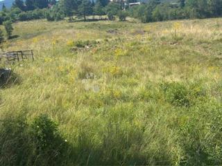 Zazidljivo zemljišče Rupa, Matulji, 9.576m2
