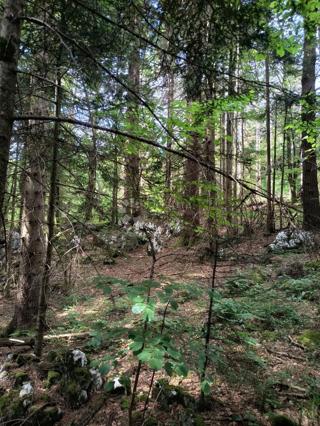 Kmetijsko zemljišče Saborsko, 86.421m2