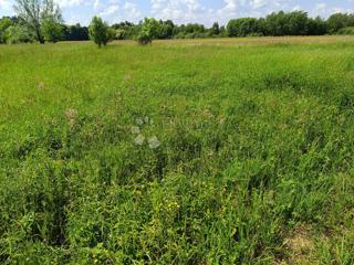 Zazidljivo zemljišče Novaki Motovunski, Karojba, 1.865m2