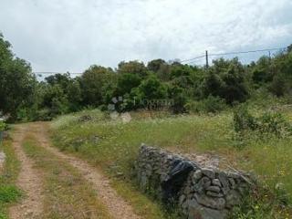 Kmetijsko zemljišče Dračevo Polje, Vis, 6.207m2