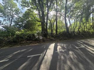 Prostorna kmetijska zemljišča