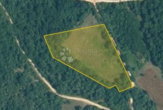 Prostorno kmetijsko zemljišče v bližini Rovinja