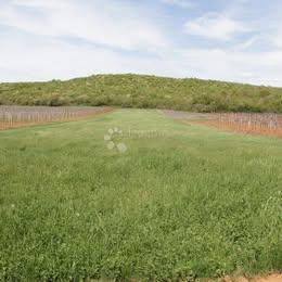 Kmetijsko zemljišče Flengi, Sveti Lovreč, 8.440m2